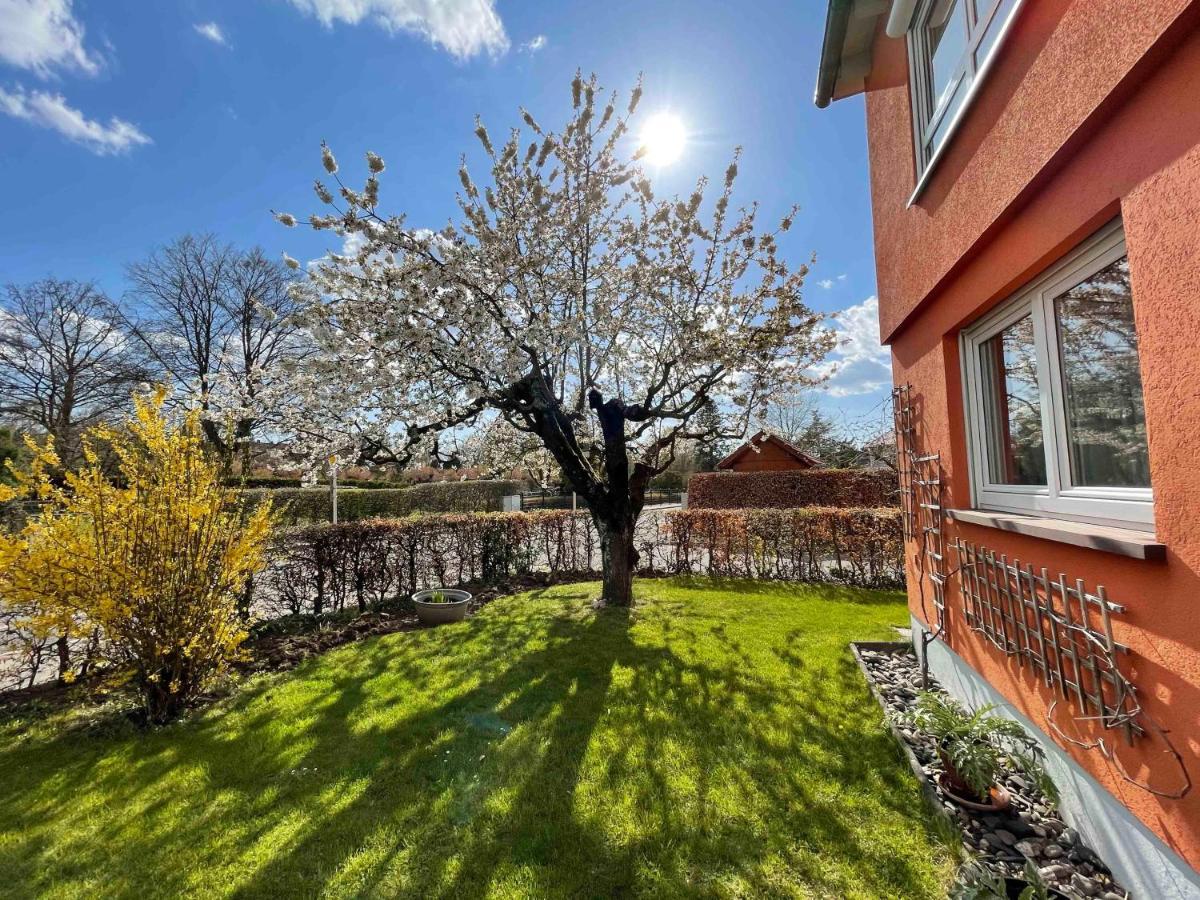 Lotte Appartement